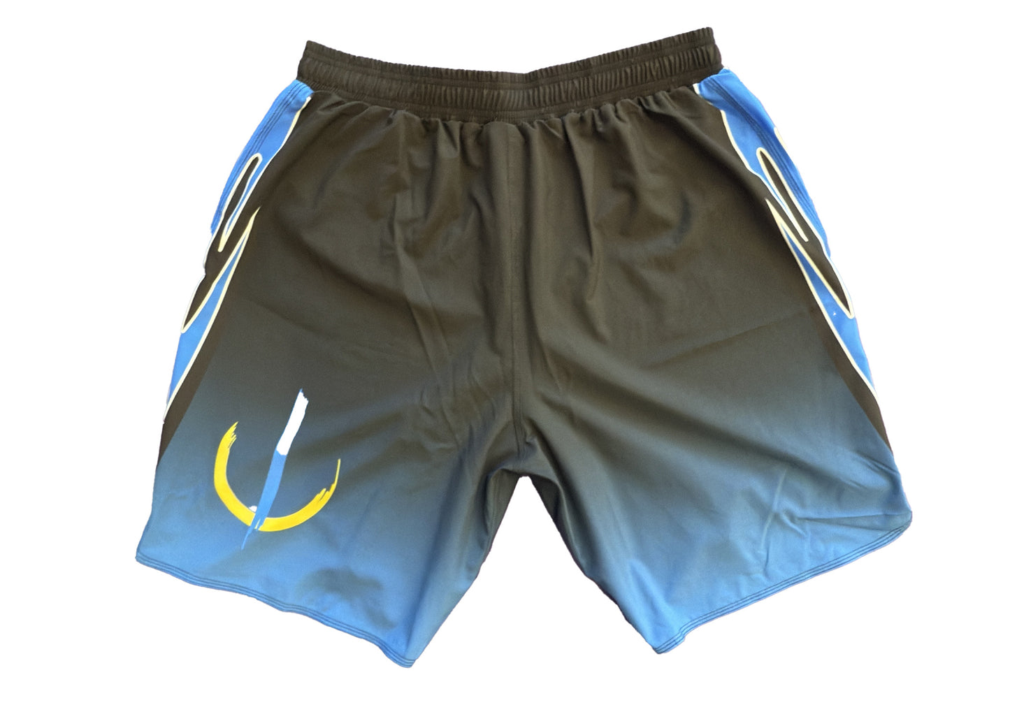 Storm Class Fight Shorts