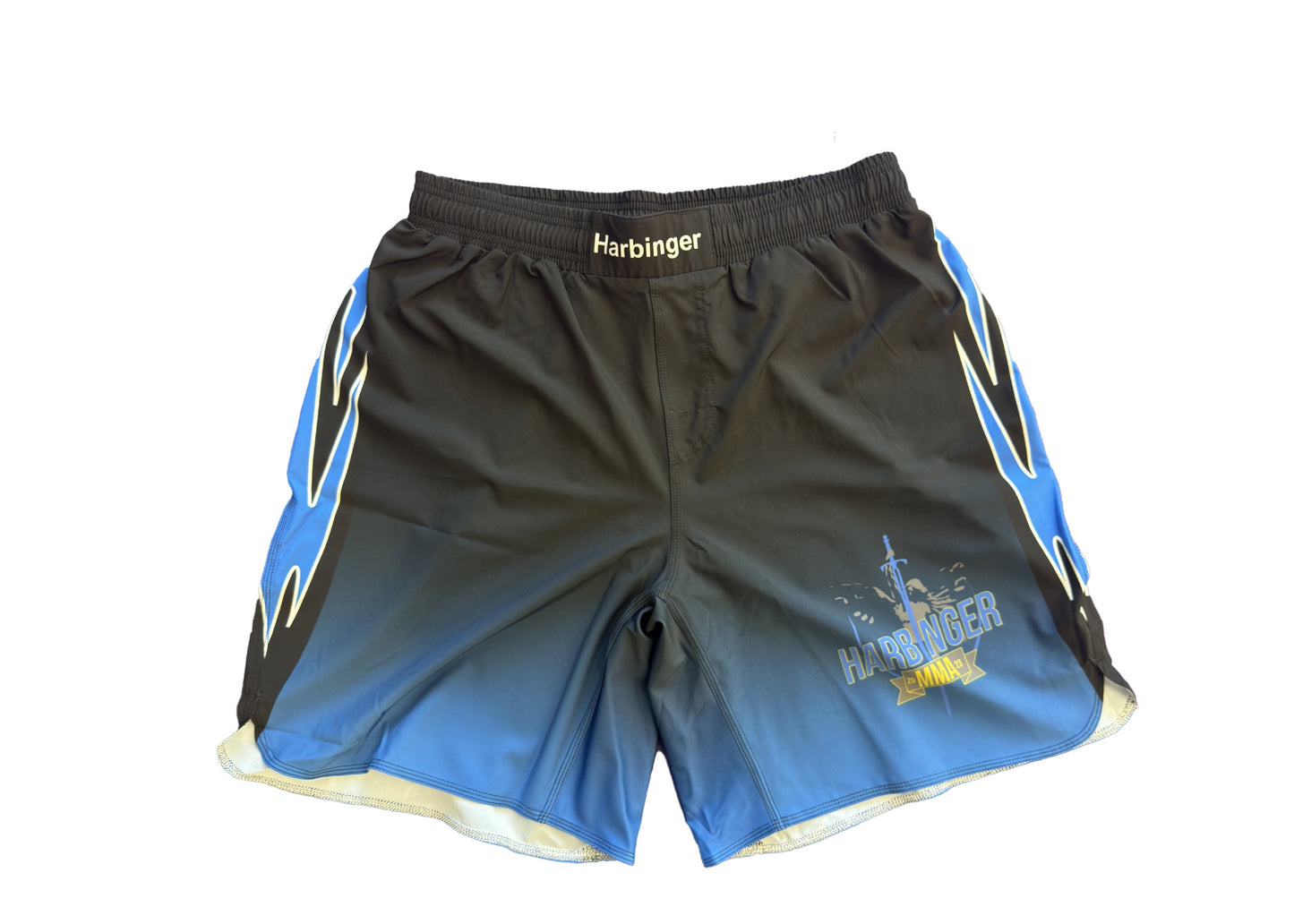 Storm Class Fight Shorts